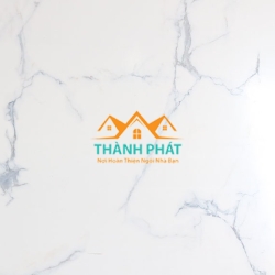 Tấm nhựa giả đá 11